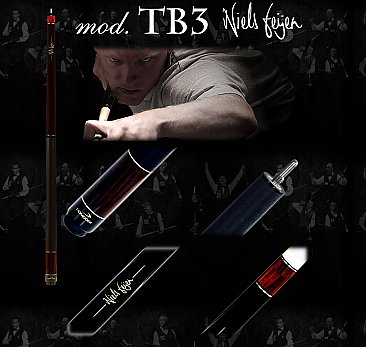 TB3 Niels Feijen Break cue with phenolic tip, rosewood, hornbea, cocobolo